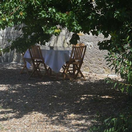 Gite Dans Le Vignoble De Bourgueil Le Port Boulet Экстерьер фото