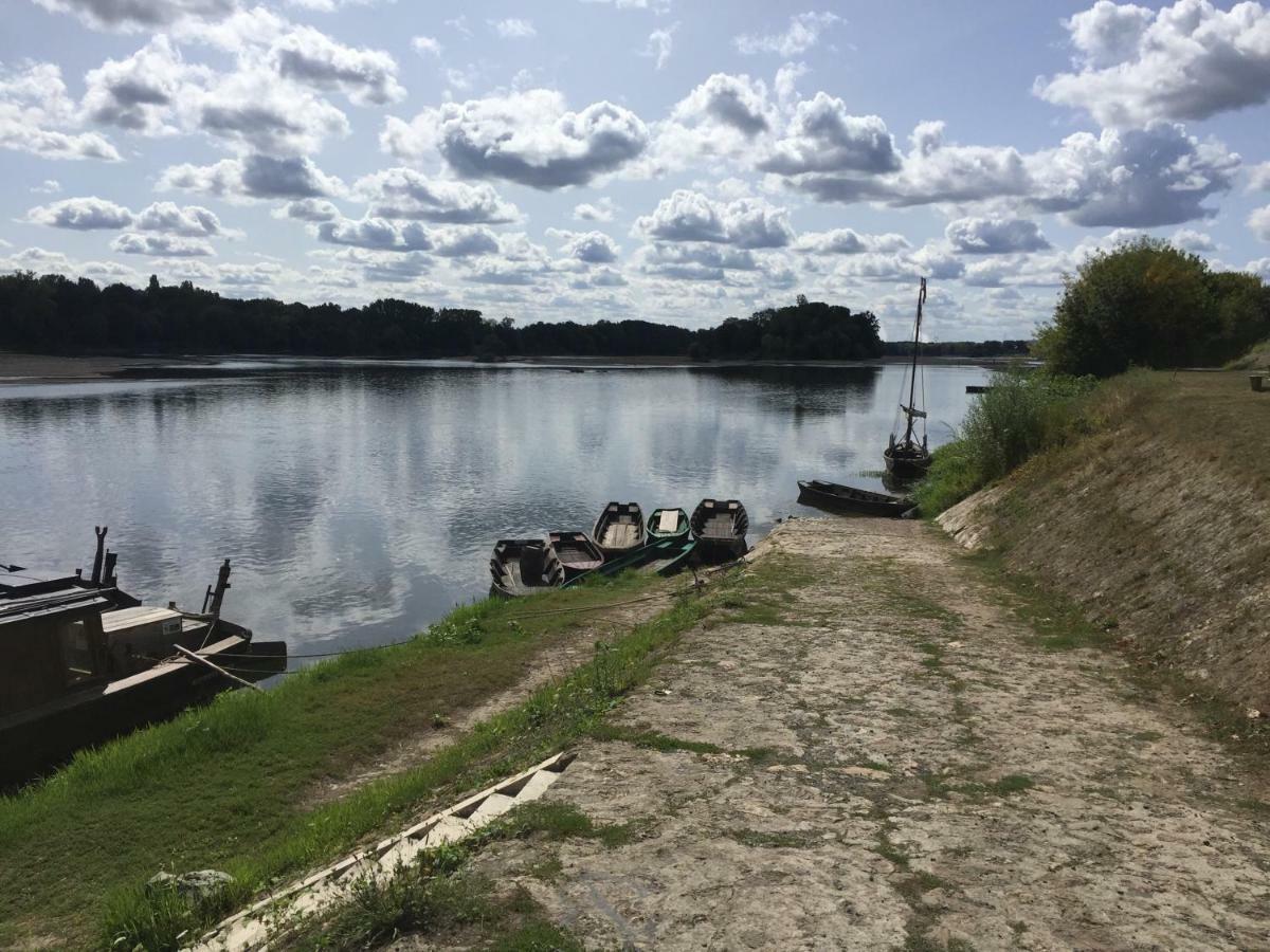 Gite Dans Le Vignoble De Bourgueil Le Port Boulet Экстерьер фото