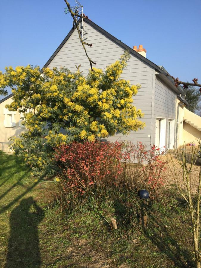 Gite Dans Le Vignoble De Bourgueil Le Port Boulet Экстерьер фото